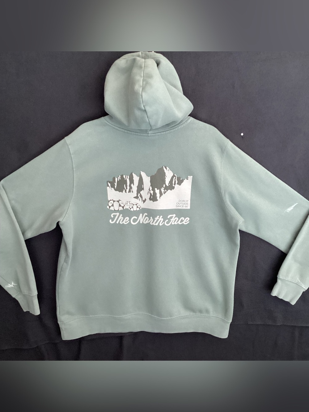 The North Face hoodie sweatshirt